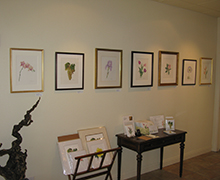 Art Display